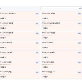 今天代理了 虚拟卡台